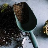Xem ngày tốt khai trương, mở hàng đầu năm cho việc kinh doanh